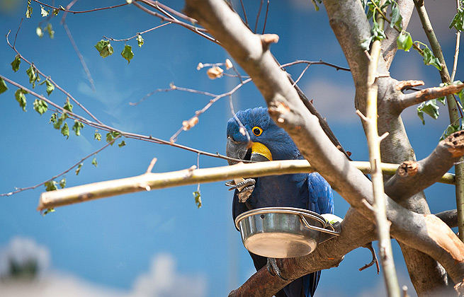 在线手机号轰炸网页版