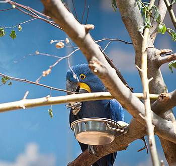 无忧售后的在线呼叫网页版